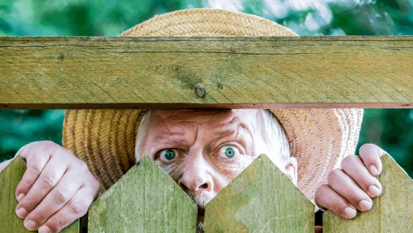 Cacher vis a vis terrasse