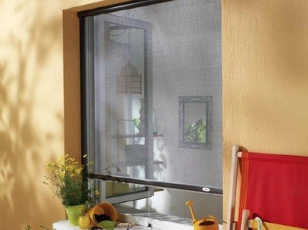 66454311-3852938-moustiquaire-intro