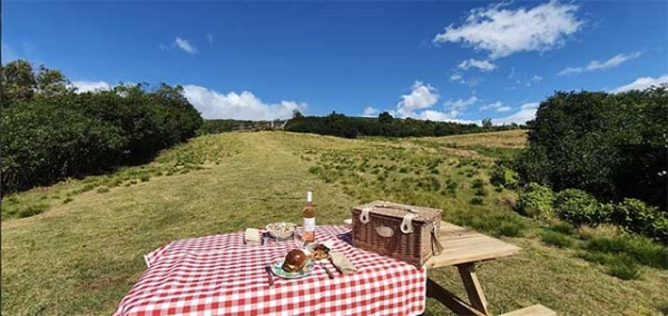 PANIER PIQUE NIQUE DIANA DEA LODGE-1