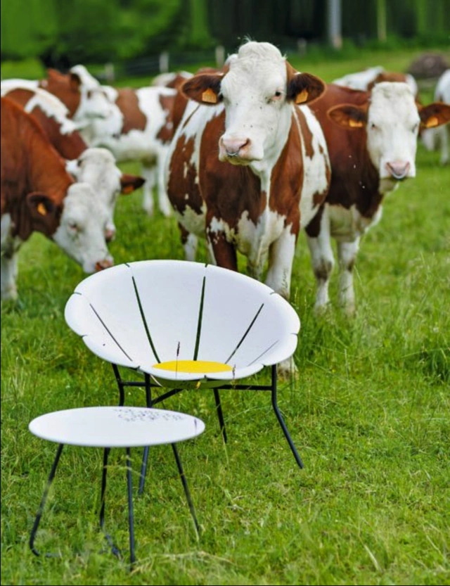 vache yéyé
